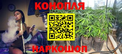 СК Рязань