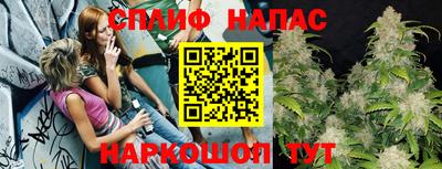 гидра Рыбинск