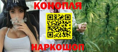 прущие грибы Рузаевка