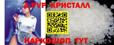 СК Рязань