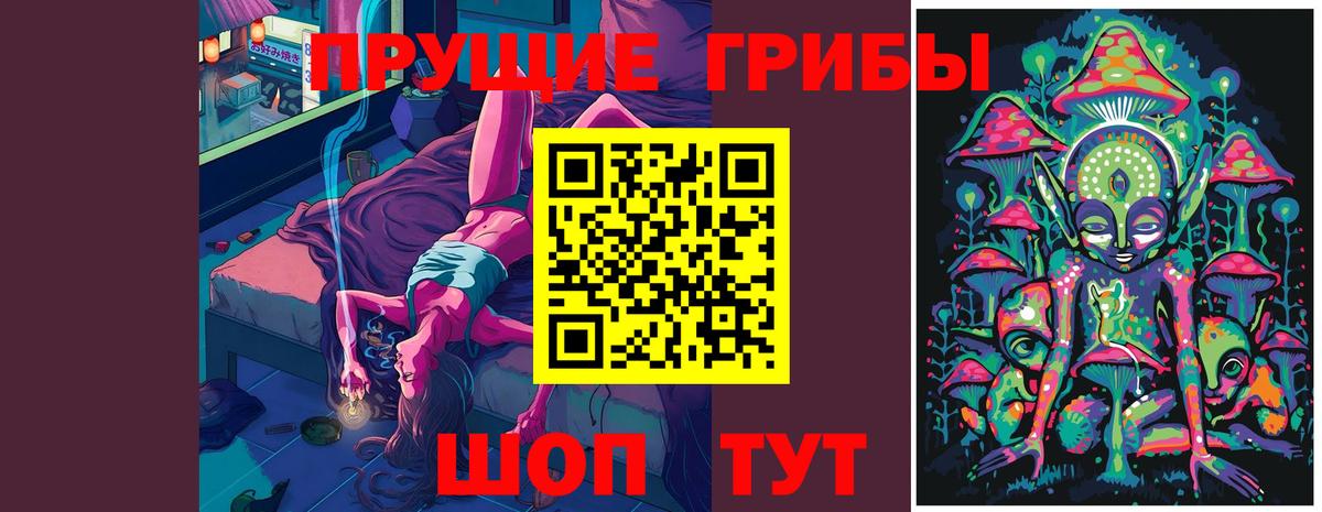 Псилоцибиновые грибы прущие грибы  что такое   Галлюциногенные грибы Psilocybe  Сертолово  Вход с VPN 